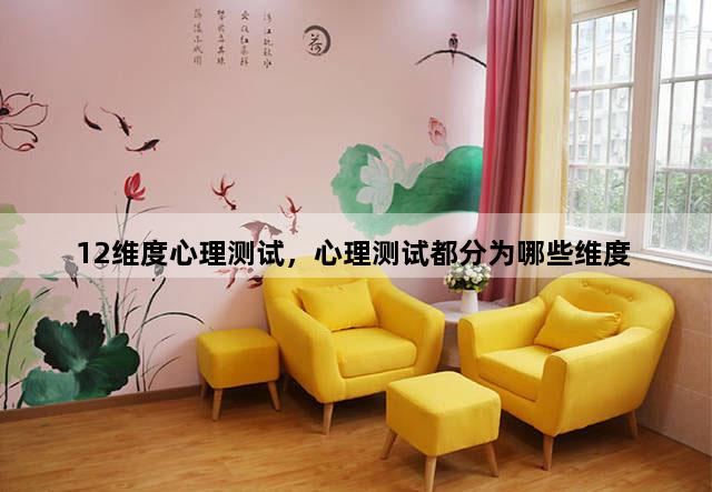 12维度心理测试，心理测试都分为哪些维度