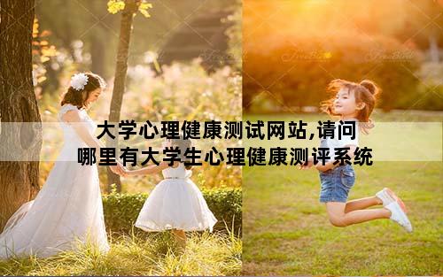 大学心理健康测试网站,请问哪里有大学生心理健康测评系统