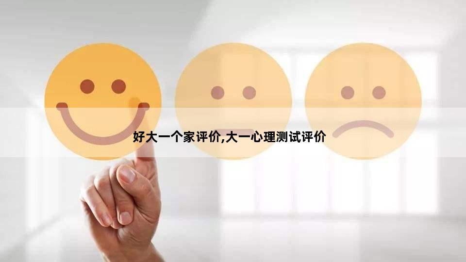 好大一个家评价,大一心理测试评价