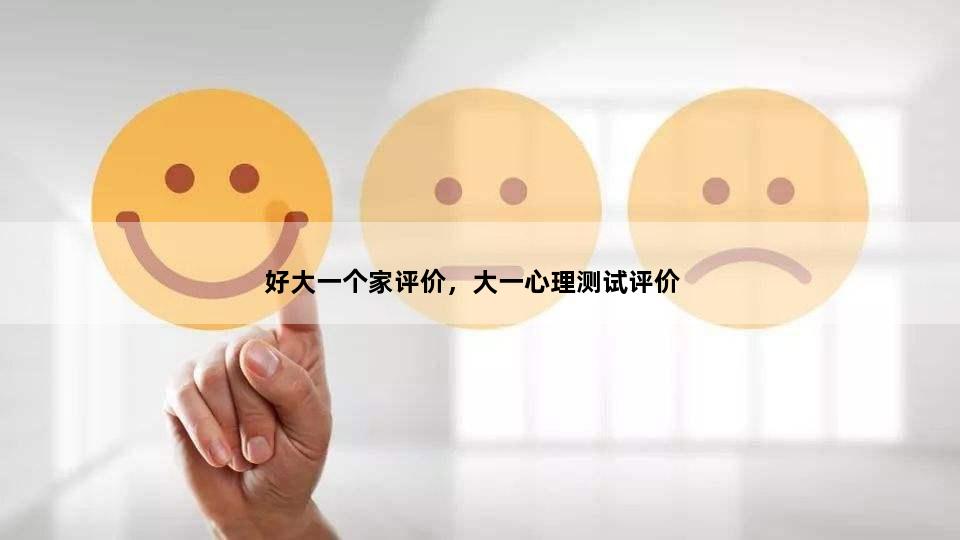 好大一个家评价，大一心理测试评价