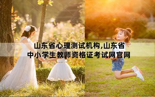 山东省心理测试机构,山东省中小学生教师资格证考试网官网
