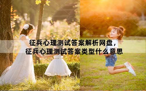 征兵心理测试答案解析网盘，征兵心理测试答案类型什么意思