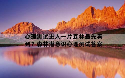 心理测试进入一片森林最先看到？森林潜意识心理测试答案