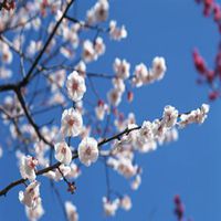 题目最多的心理测试书，题目最多的心理测试书是什么